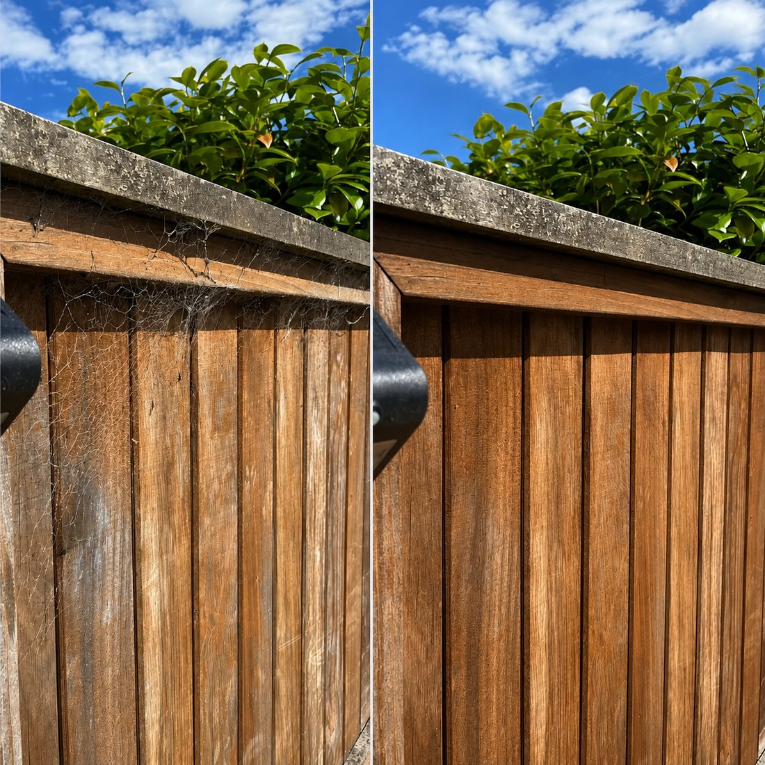 Fence covered in cobwebs before treatment, and the same fence clean afterwards